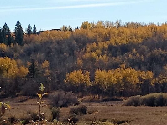 b740b77f-077f-414a-8235-de524266d42f